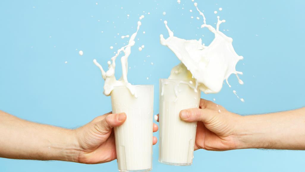 6. <br/>عناصر الحليب وتأثير نزع الدسم جزئياً