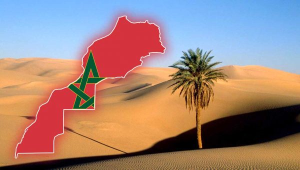 عضو بالبرلمان النمساوي: مخطط الحكم الذاتي في إطار السيادة المغربية هو السبيل الأصلح لإيجاد حل لقضية الصحراء